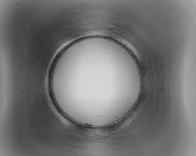 X0000111500991200908041159