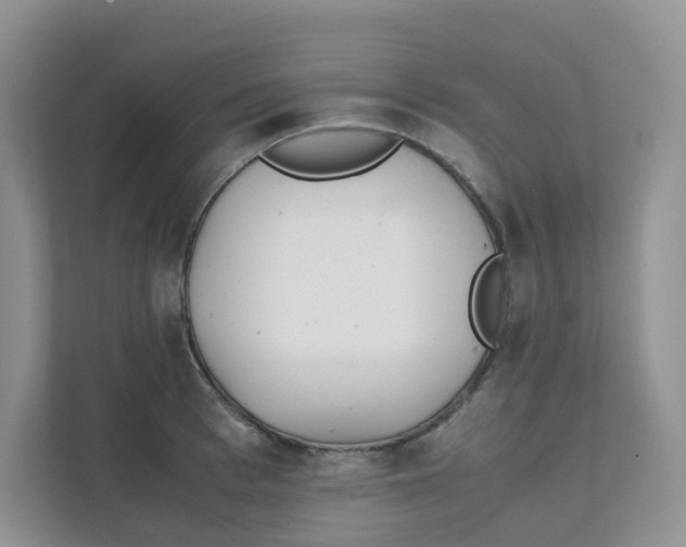 X0000111500993200908041158