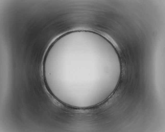 X0000111500996200908041158