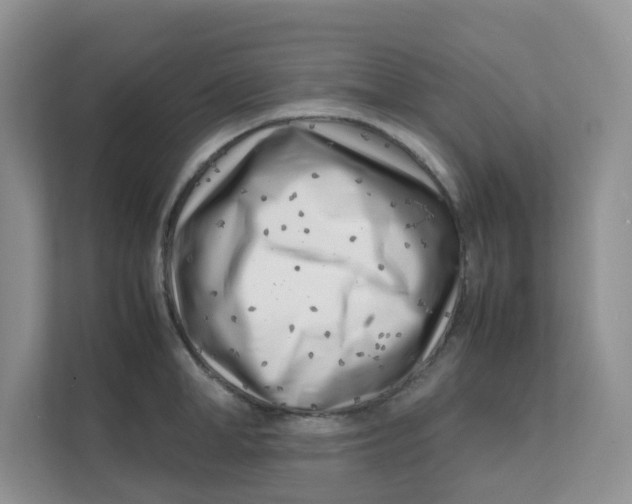 X0000111500998200908041158