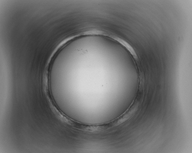 X0000111501000200908041158