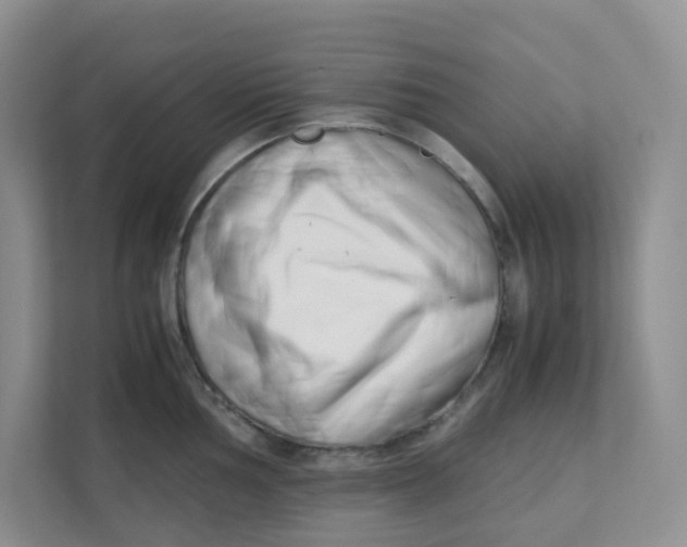 X0000111501002200908041158