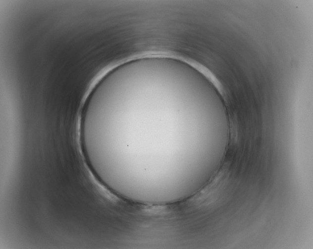 X0000111501006200908041158