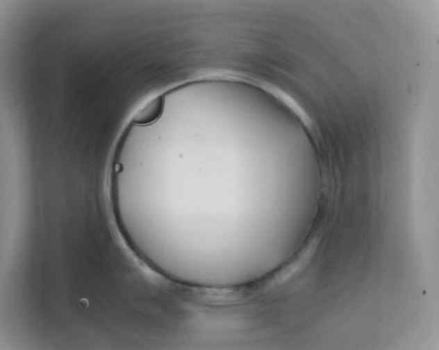 X0000111501007200908041158