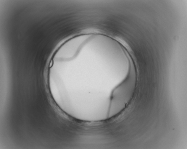 X0000111501008200908041158