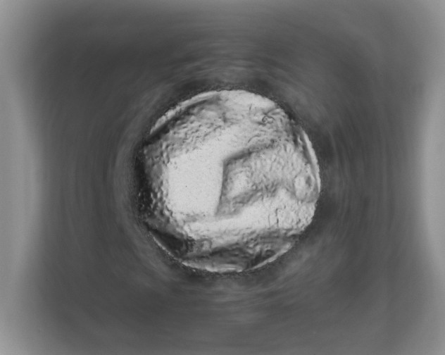 X0000111501009200908041158