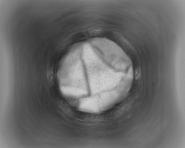 X0000111501011200908041158