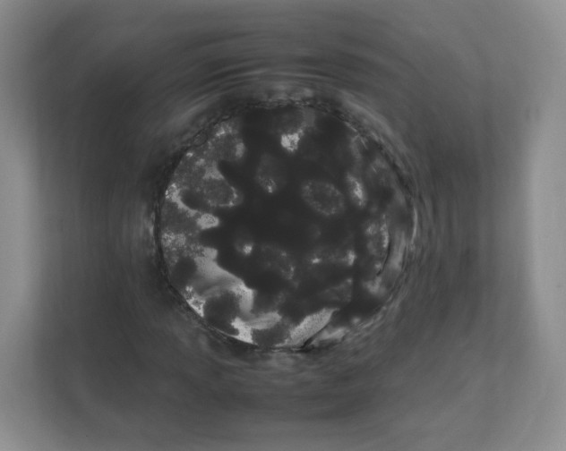 X0000111501013200908041158