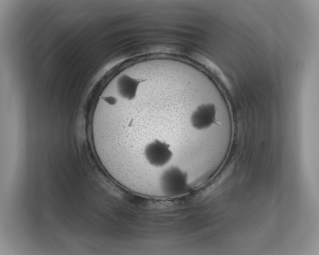 X0000111501019200908041158