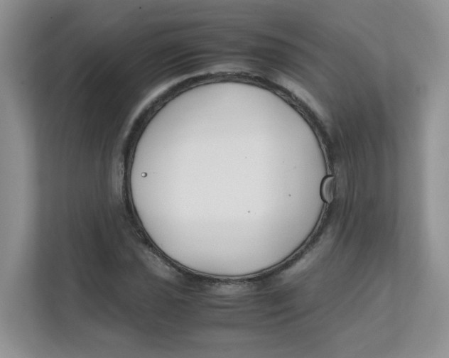 X0000111501021200908041158