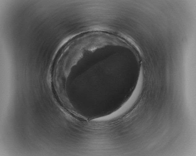 X0000111501024200908041158