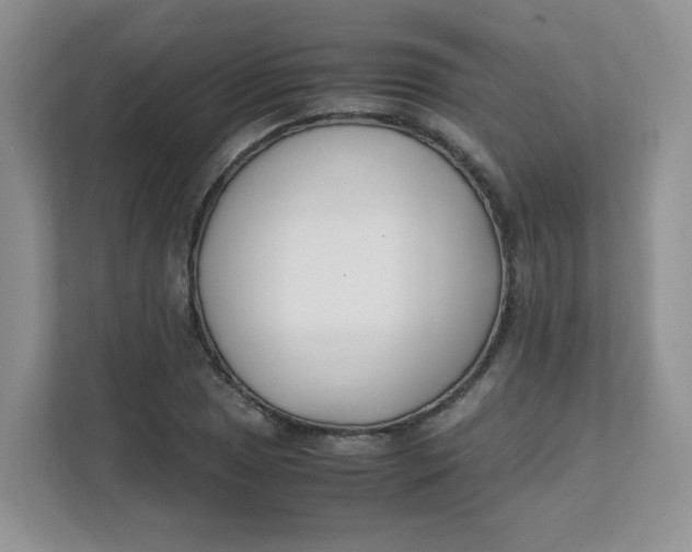 X0000111501025200908041158