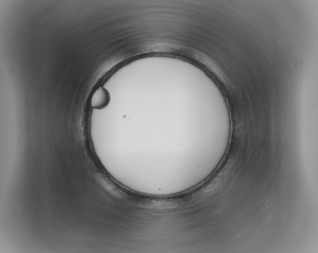 X0000111501026200908041158