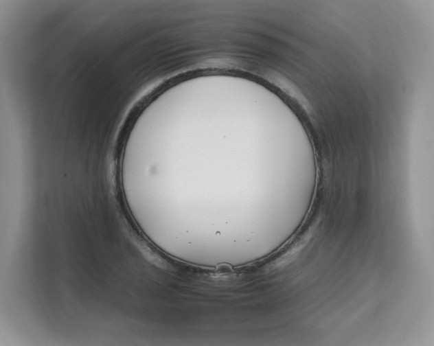 X0000111501029200908041158