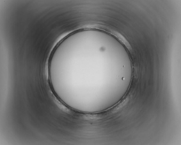 X0000111501036200908041158