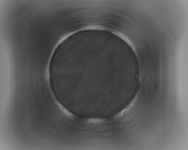 X0000111501037200908041158