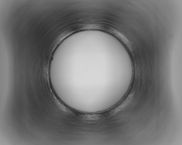 X0000111501041200908041158