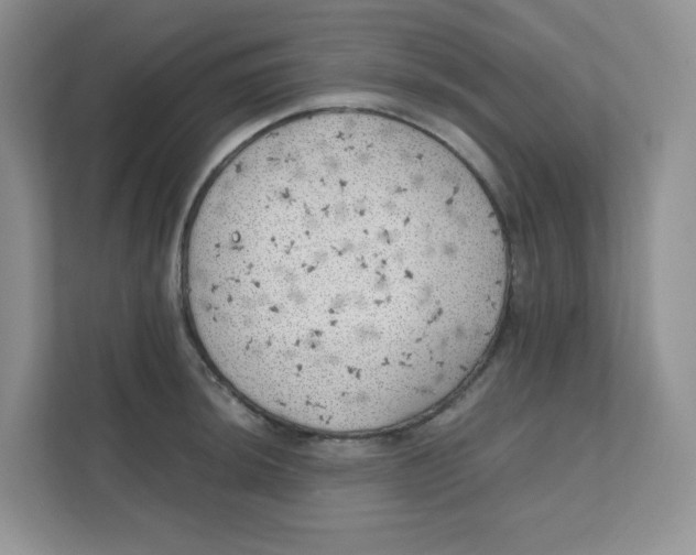 X0000111501044200908041158