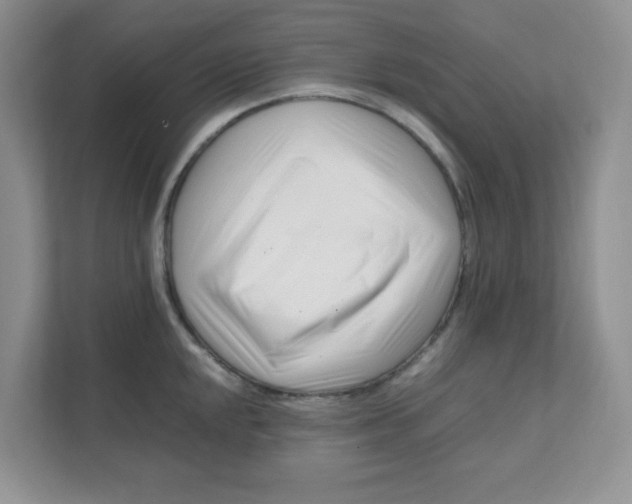 X0000111501048200908041158