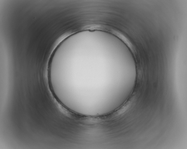 X0000111501050200908041158