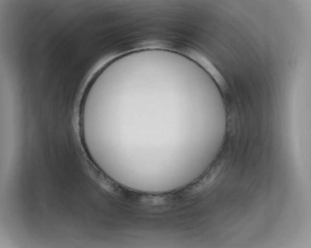 X0000111501051200908041158