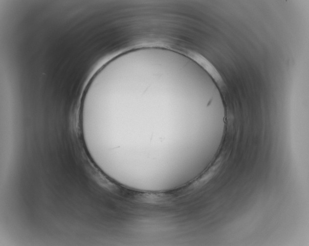 X0000111501052200908041158