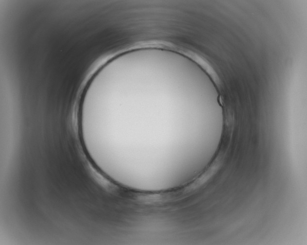 X0000111501054200908041158