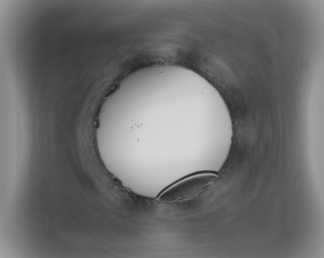 X0000111501057200908041158