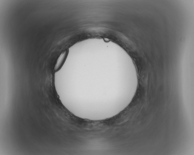 X0000111501061200908041158