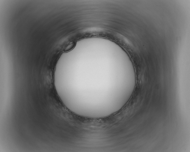 X0000111501062200908041158