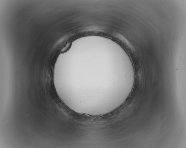 X0000111501064200908041158