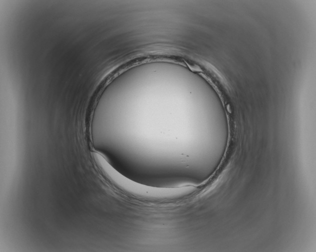 X0000111501065200908041158