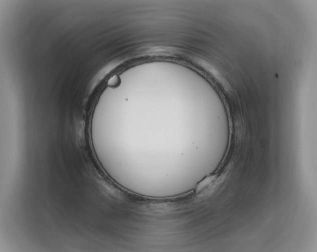 X0000111501066200908041158