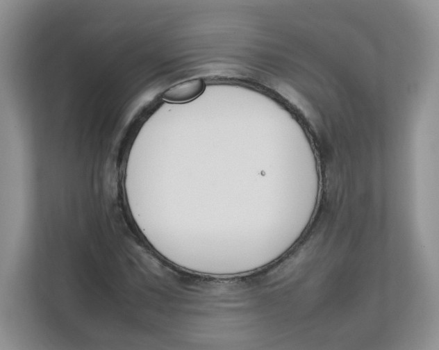 X0000111501067200908041158