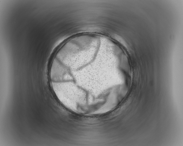 X0000111501071200908041157