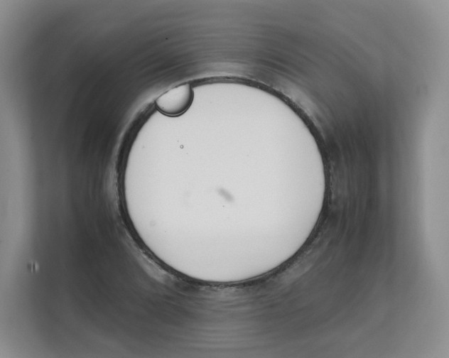 X0000111501072200908041157