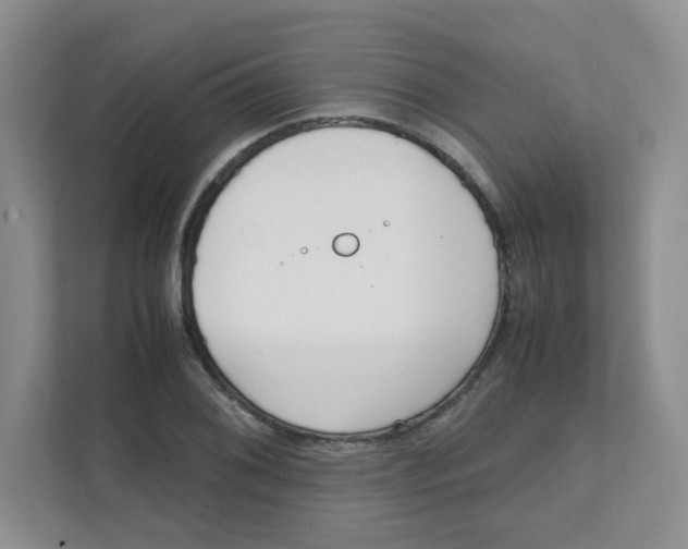 X0000111501076200908041157