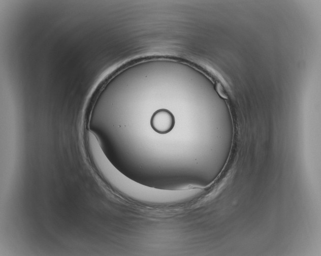 X0000111501077200908041157