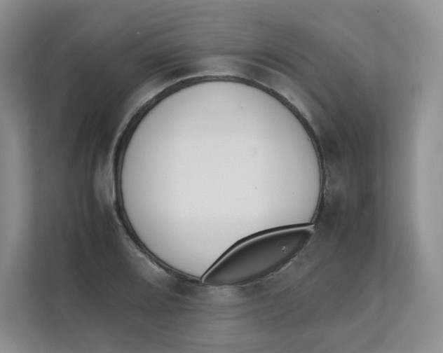 X0000111501080200908041157