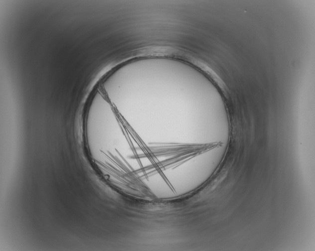 X0000111501083200908041157