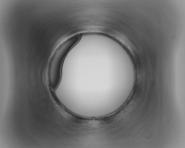 X0000111501085200908041157