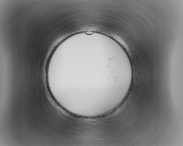 X0000111501088200908041157