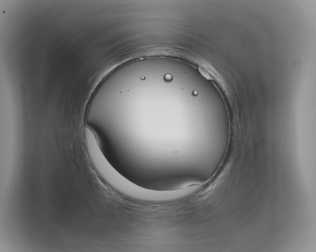 X0000111501089200908041157