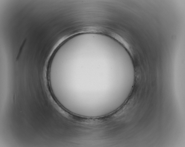 X0000111501091200908041157