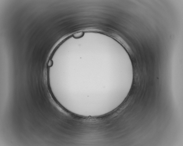 X0000111501092200908041157