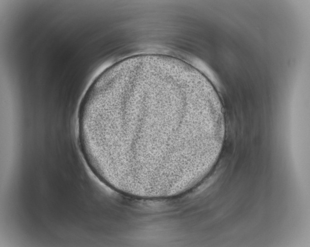 X0000111501095200908041157