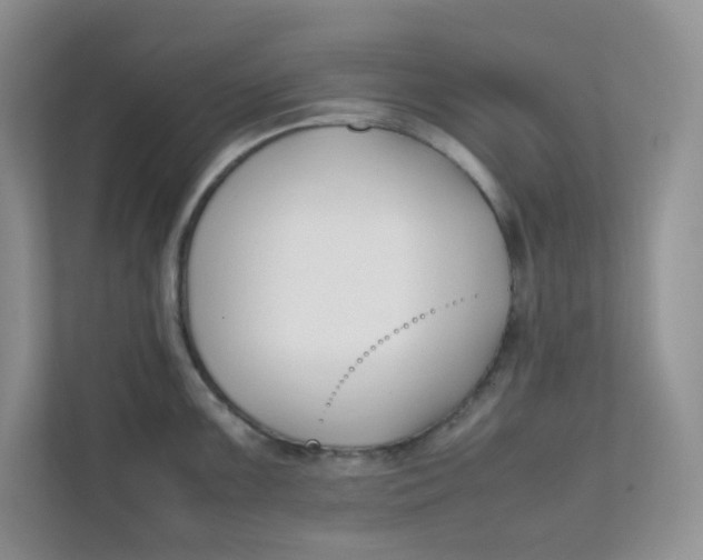 X0000111501099200908041157