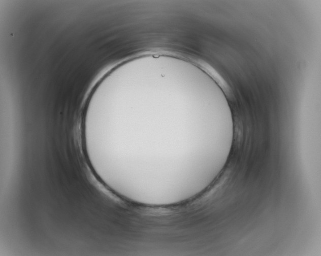 X0000111501100200908041157