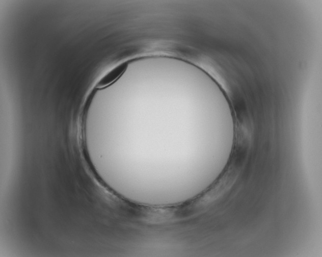 X0000111501101200908041157