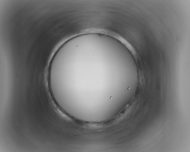 X0000111501102200908041157